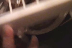 Cute legal age teenager girlfriend lets her partner film her topless at home