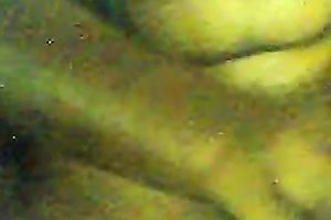 Chunky dilettante mamma fingers her muff in webcam solo