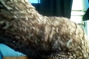 Ebony chick entertains herself by fingering her fur pie in cam solo