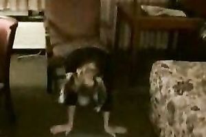 My slot wife prostitute blowjob