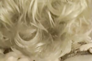 Two spruce retro golden-haired lesbos share one large dildo on ottoman