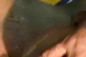 Indian hussy lets a dude take up with the tongue her snatch and fuck it unfathomable