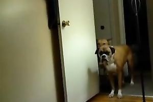 My perky-boobed GF lets me play with her love tunnel in front of a cam