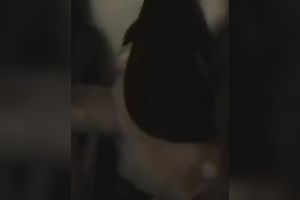 Nasty and breasty milf girl blindfolded engulfing shlong