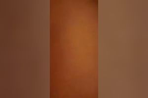 Teenie Taiwanese girlfriend with diminutive melons pleasant me