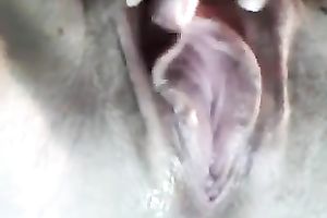 Close up solo movie with my white wife fingering her hairless juicy muff