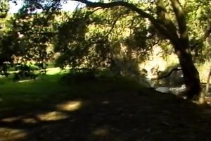 Bosomy sizzling harlots eat cunts of one some other at kitchen