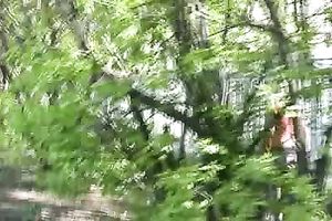 Crazy blond Irina pees her panties in the street in solo movie