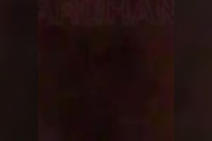 My appealing dark-haired playgirl gives me awesome head