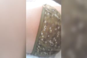 I acquire aroused instantly when I watch my wife's half stripped body