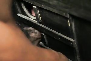 Fat butt serf is willing to engulf my deliciously subrigid cock