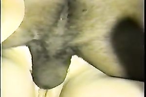 I wish him to dominate me and fuck me in the gazoo hard