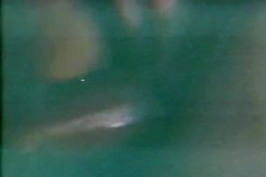 Dirty threesome with 2 perverted cuties and one freaky guy