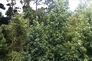 Ass twerking compilation with my sizzling sexy Latin GF