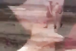 Outrageous vacation oral-service from my skanky sexy dark brown hottie