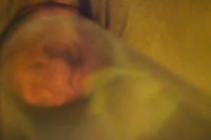 I just love pumping my wife's twat in front of a camera