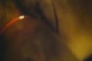 I just love pumping my wife's twat in front of a camera