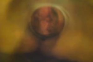 I just love pumping my wife's twat in front of a camera