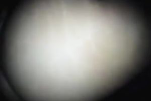 Exotic honey sucks my pecker after terrific from behind sex