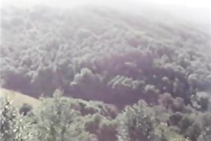 Brunette hottie copulates her desirous fellow in the afternoon