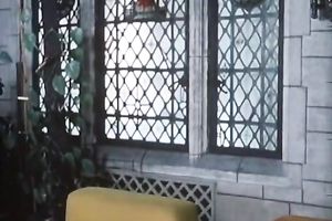 Incredibly haired 10-Pounder and the alike love tunnel met every other one day