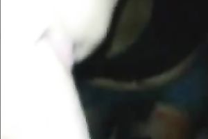 Green eyed Latina charmer knows how to give a worthwhile blowjob