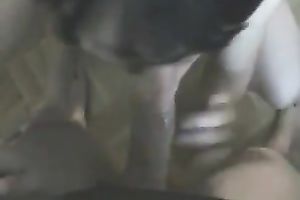 Sexually indecent wifey with jet dark hair knows how to give an astounding BJ