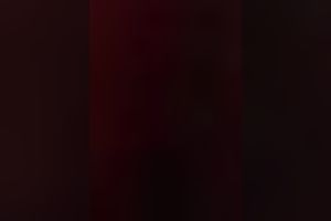 My pretty sexually charged GF can't live without reverse cowgirl position