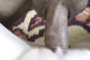 Insatiable white wife is truly into having sex in missionary position