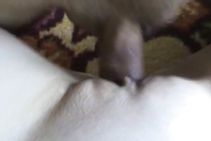 Insatiable white wife is truly into having sex in missionary position