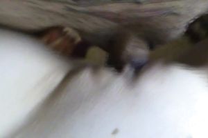 Insatiable white wife is truly into having sex in missionary position