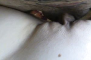 Insatiable white wife is truly into having sex in missionary position