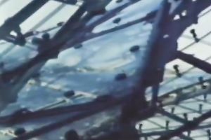 Sassy chick living in Munich copulates an desirous fellow with excitement