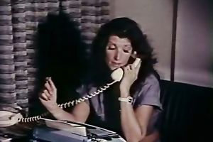 Moaning brunette hair strumpet acquires her punani actively fucked