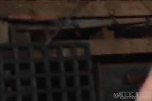 Spoiled hussy is totally at the lenience of her lewd dominatrix-bitch