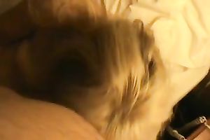 Horny hubby is fucking me mercilessly in missionary position