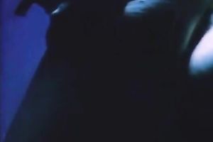 The underwater oral stimulation and rod riding of a freaky bitch