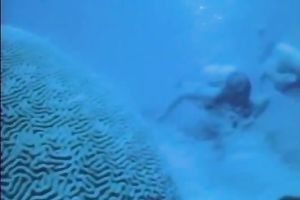 The underwater oral stimulation and rod riding of a freaky bitch