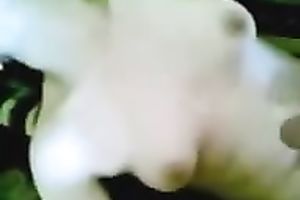 Fucking my miniature brunette hair girlfriend in the twat and wazoo