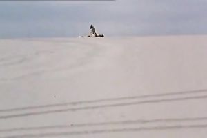 Oriental chick is having enjoyment with lesbo GF on the teach