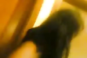 My playful ally of mine just likes dancing on camera