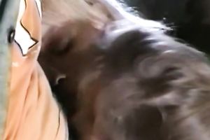 Slutty sweethearts favor a guy with a double oral job in retro porn scene