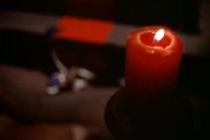 This insane fuckfest movie has some nifty stuff to see