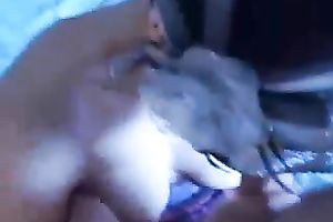 Sucking and titfucking my BF's prick and getting facialed hard