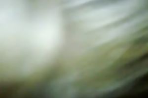 Blonde skank sucks my dark weenie in interracial homemade movie scene