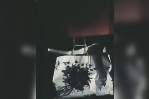 Sizzling brunette allows a stud to drill her muff in retro porn video