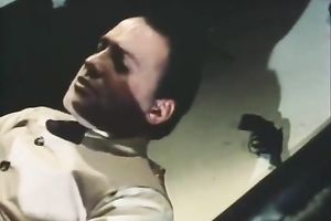 Sizzling brunette allows a stud to drill her muff in retro porn video