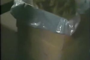 Slutty and perverted chick got her taut cunt team-fucked hard