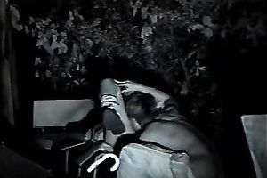 Filthy Asian coed is having an outstanding sex outdoors