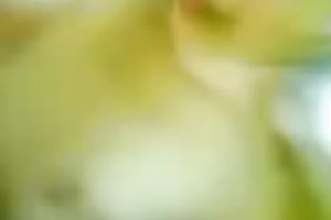 Cute Malay girlfriend with curly muff drilled on real homemade